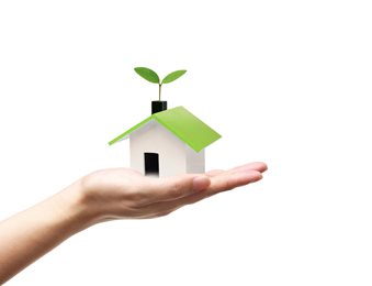 hand holding a tiny green house with a plant growing from the roof